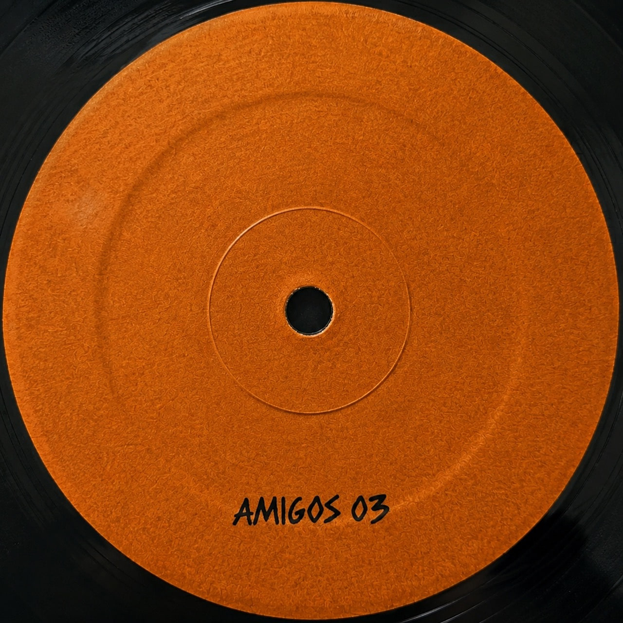 Natural Goofy , Shkedul - Terminus Jungle EP | Not On Label (AMIGOS03)
