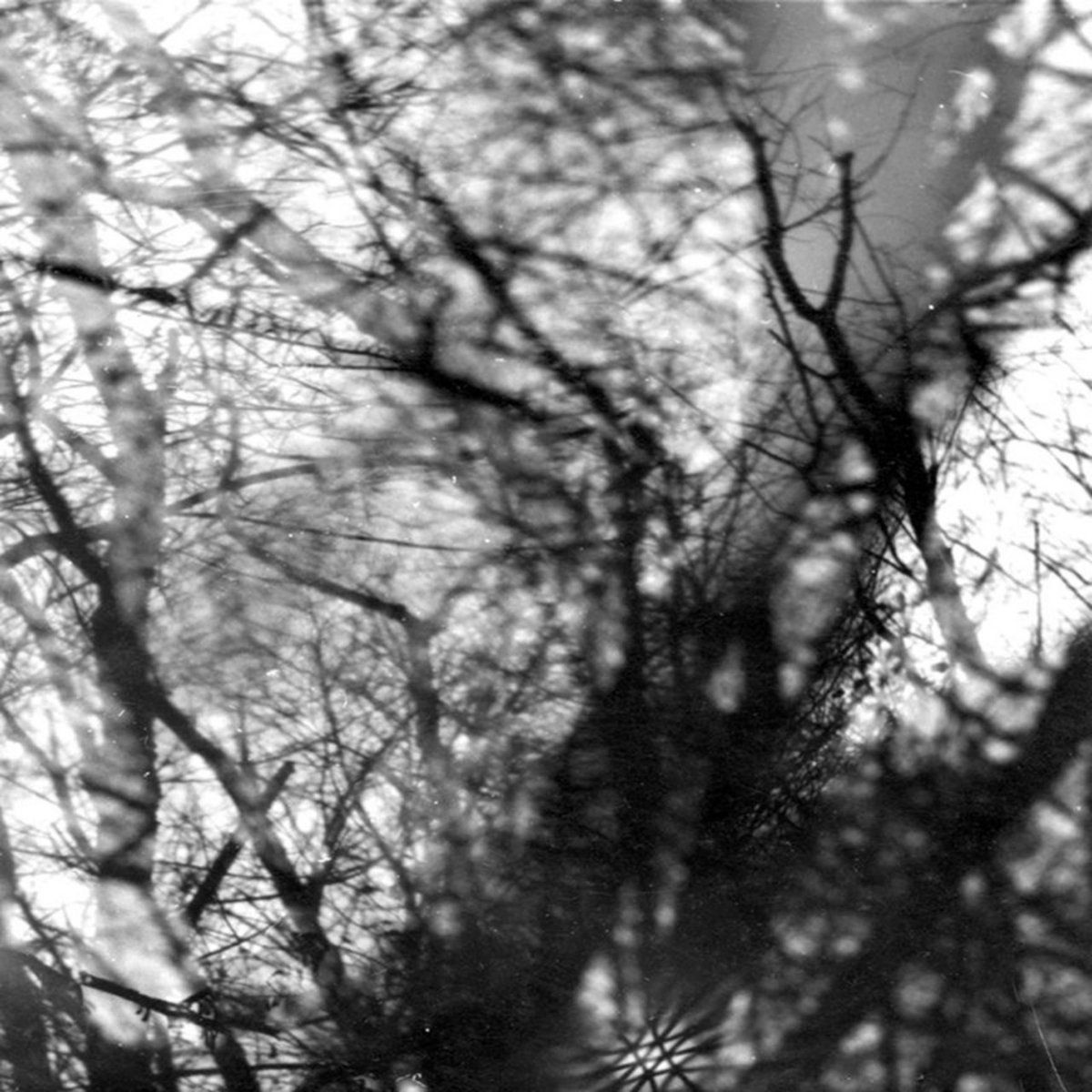 Grouper - Way Their Crept | Kranky (krank248) - main