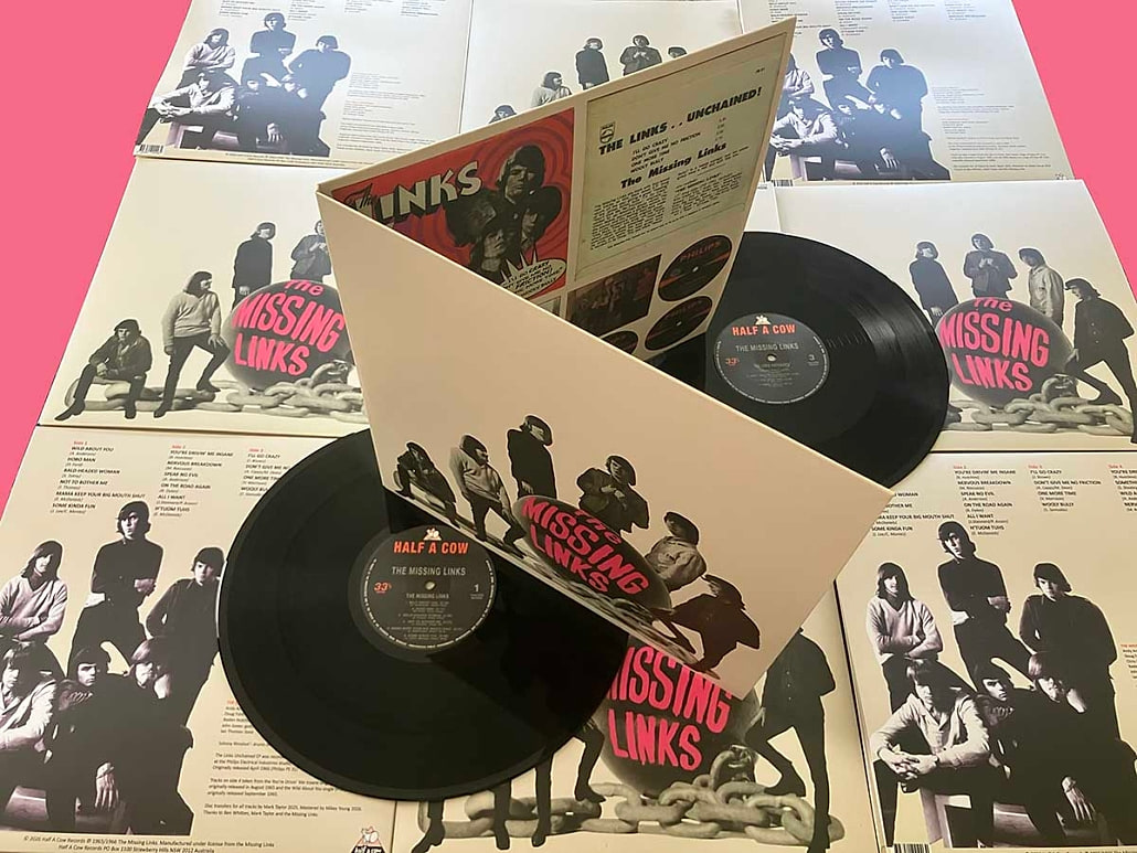 The Missing Links - THE MISSING LINKS – THE MISSING LINKS 2LP (hac295) - PRE ORDER | Half A Cow Records () - main