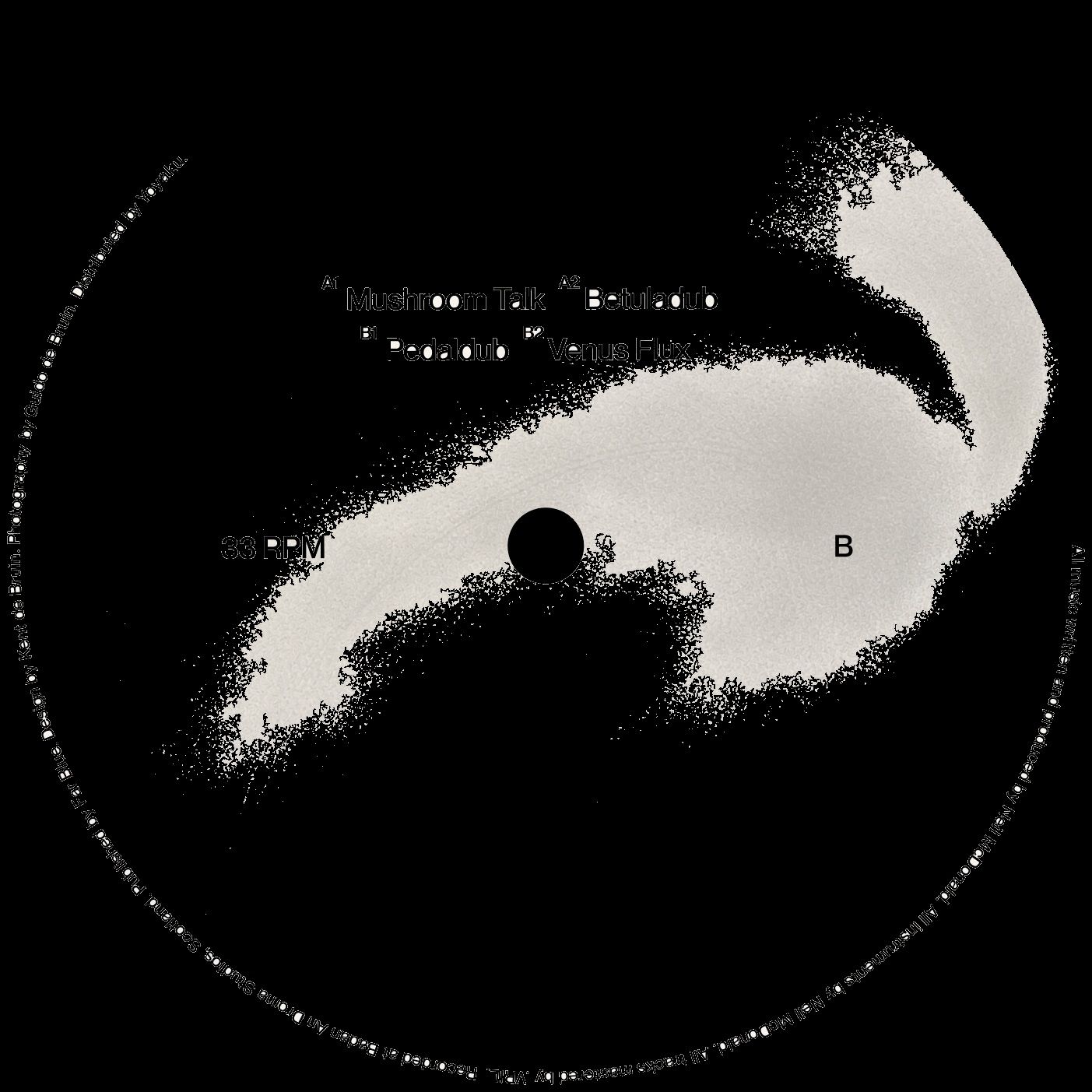 Lord Of The Isles - Venus Flux | Far Blue (FB004) - 3