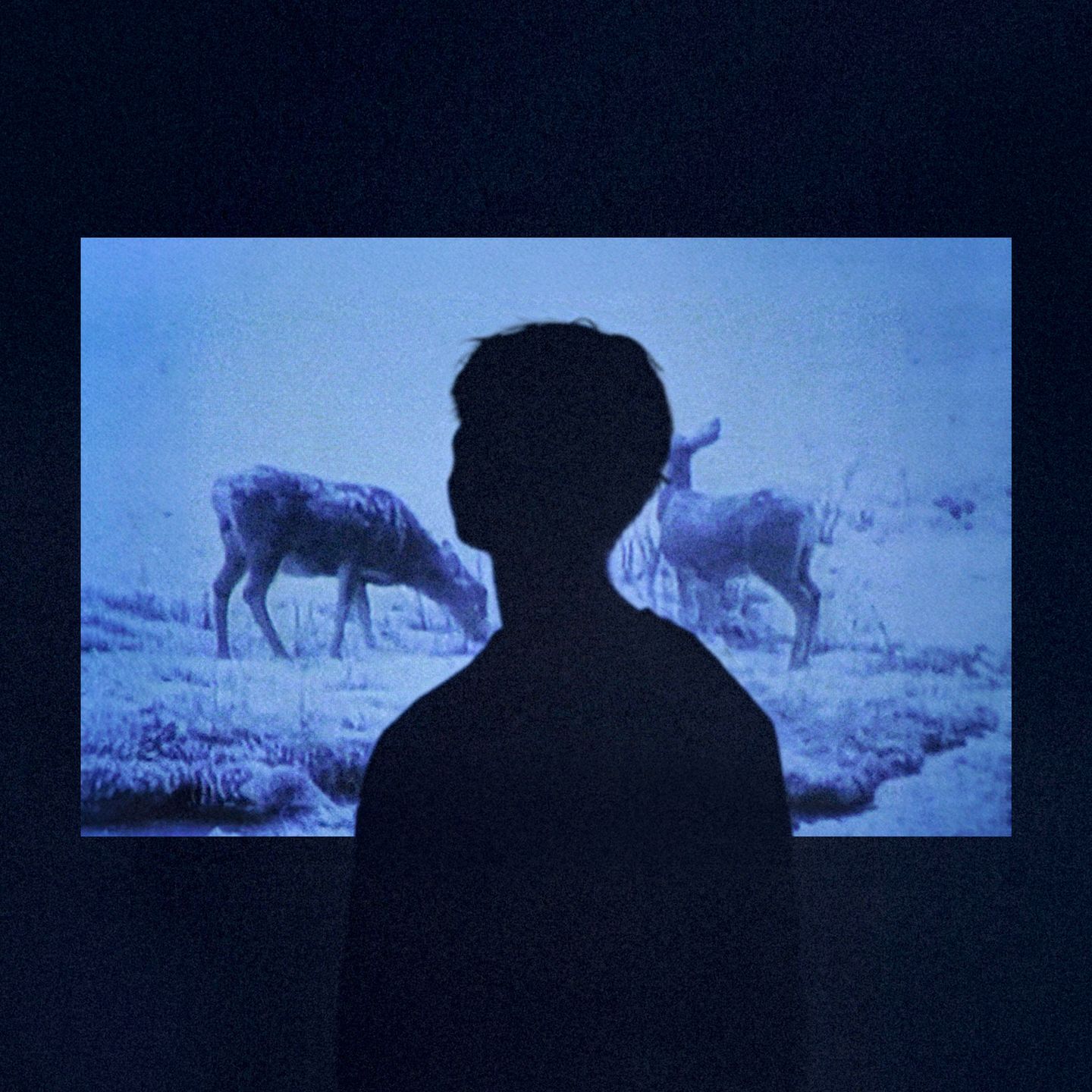 Jumo - Memory | Nowadays Records (NOW0220)