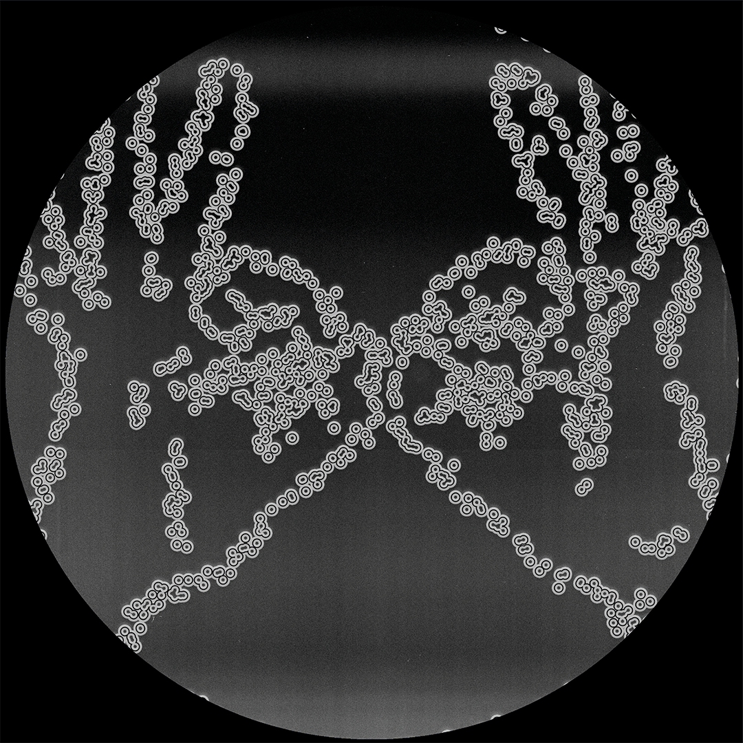 Various Artists - Cartulis Music 15th Anniversary Compilation | Cartulis Music (CRTL-SP01.2) - 2 Various Artists - Cartulis Music 15th Anniversary Compilation | Cartulis Music (CRTL-SP01.2) - 2