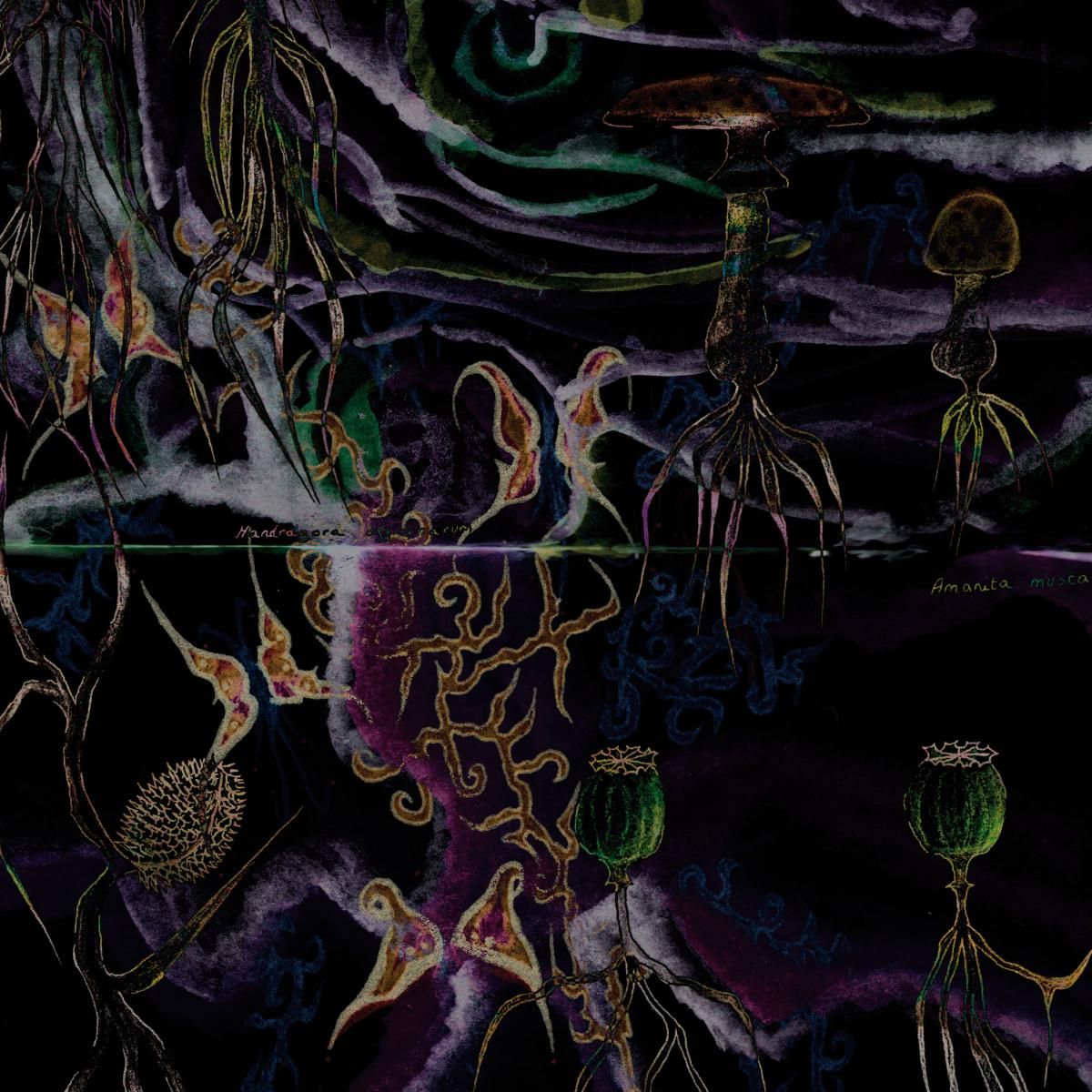 GNMR - I Love You Ep | Animals On Psychedelics (AOP011) - main