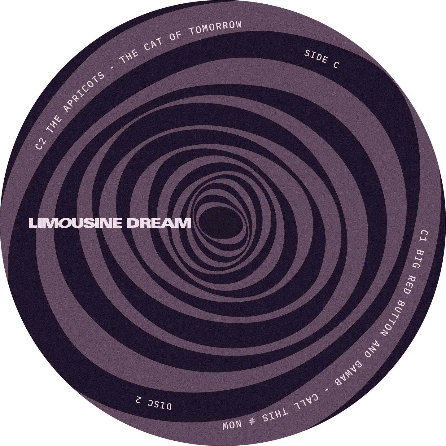 Various - Life Spiral | Limousine Dream (LD010) - 6