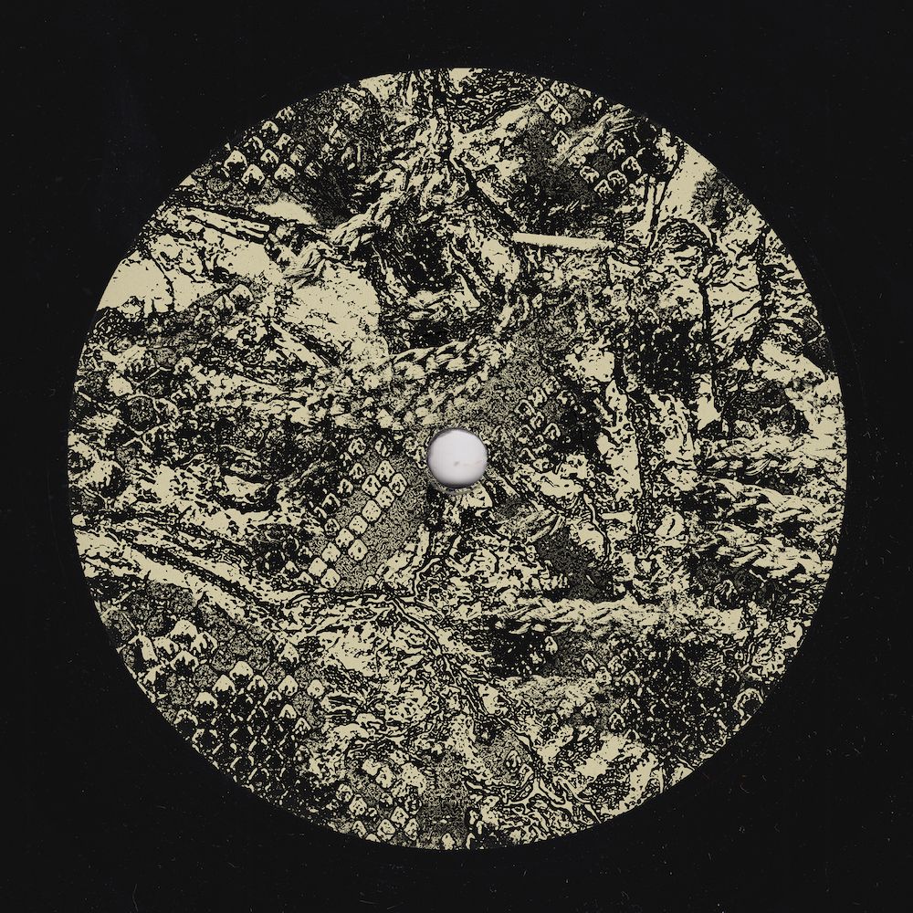 Per Hammar - Sidewinder EP | Craigie Knowes (CKNOWEP73) - 2 Per Hammar - Sidewinder EP | Craigie Knowes (CKNOWEP73) - 2