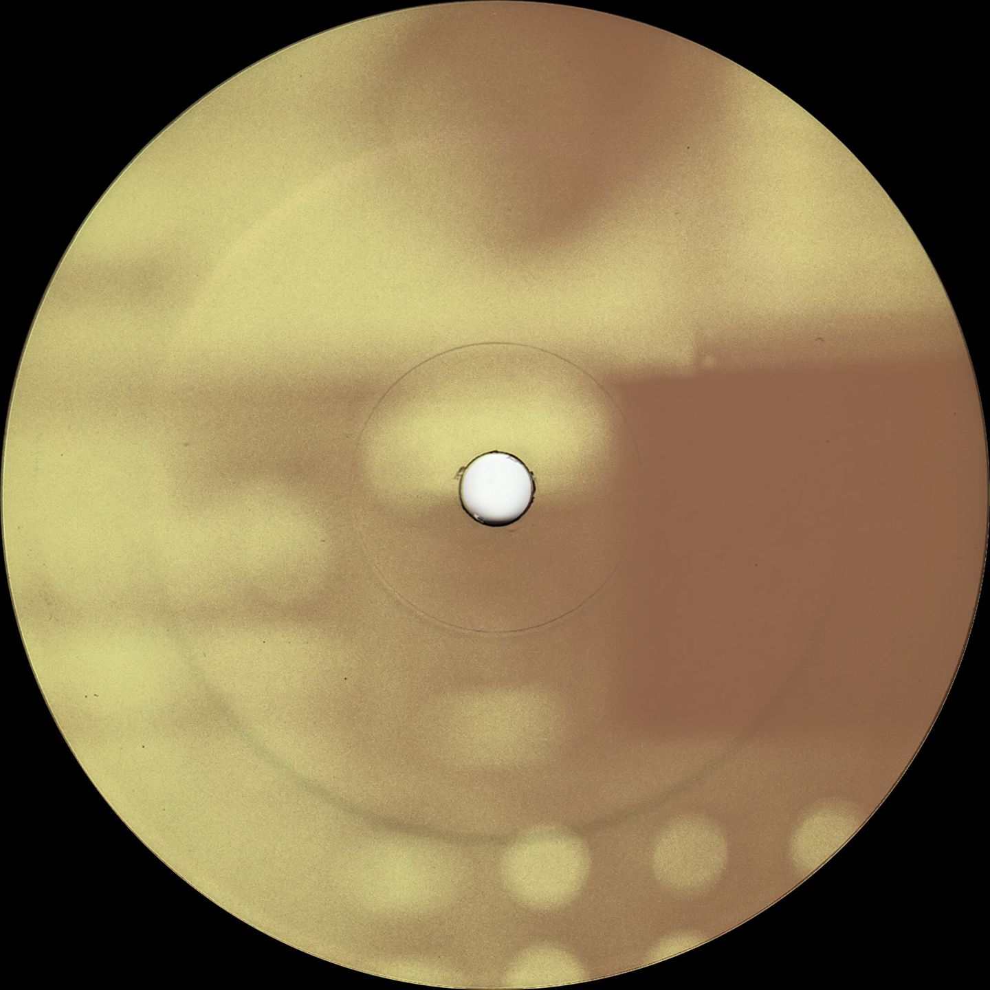 2301 - Untitled | Heaven Smile (HS2301)