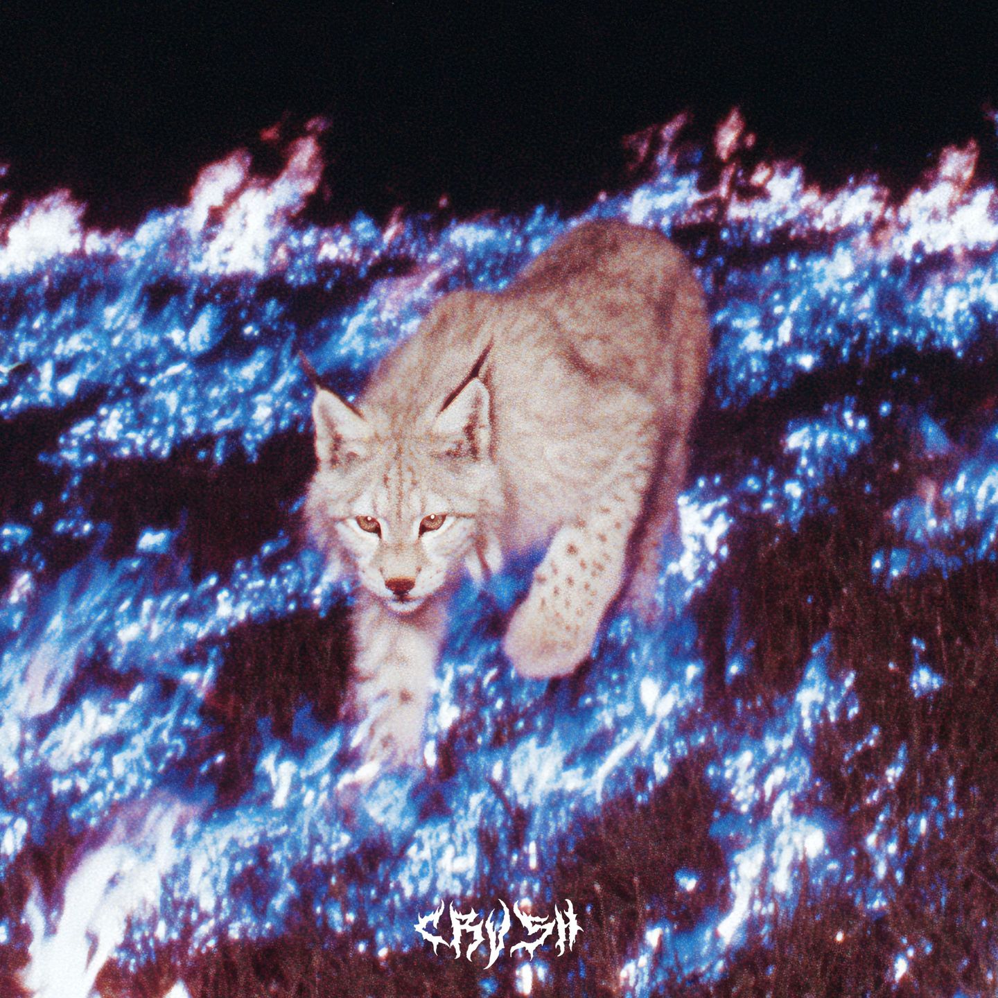 Zaatar - First Crush | CRVSH (CRV001)
