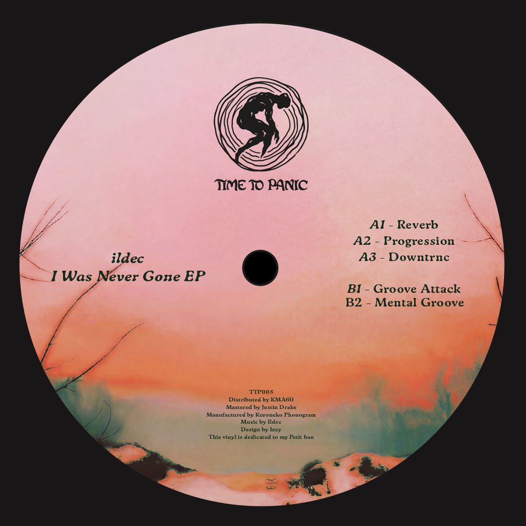 Ildec - I Was Never Gone | Time To Panic Records (TTP005) - 4