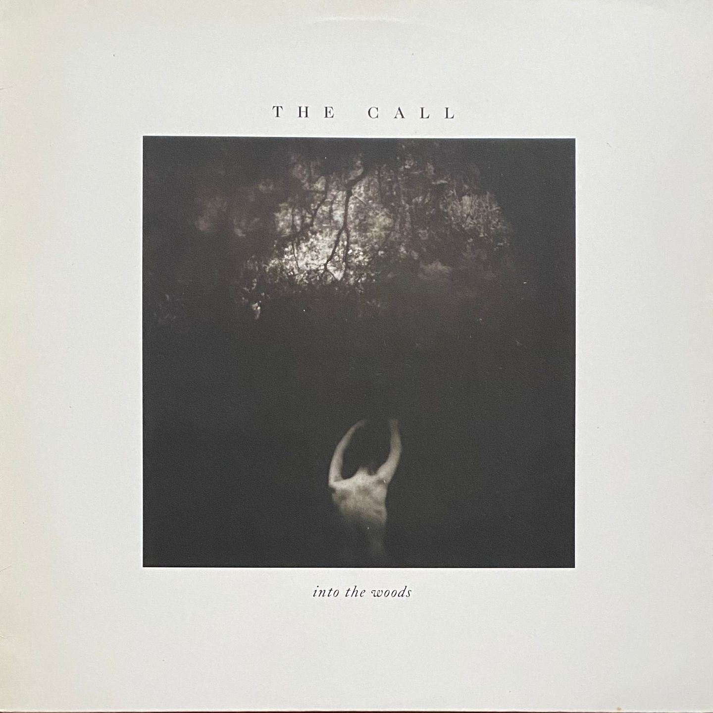 The Call - Into The Woods | Elektra (960 739-1) - main