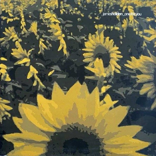 James Holden - One For You | Direction Records (671789 8)