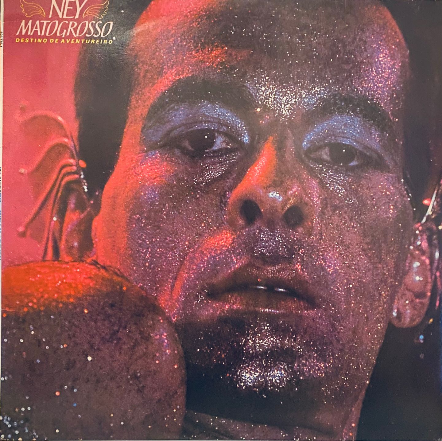 Ney Matogrosso - Destino De Aventureiro | Polydor (823776-1)