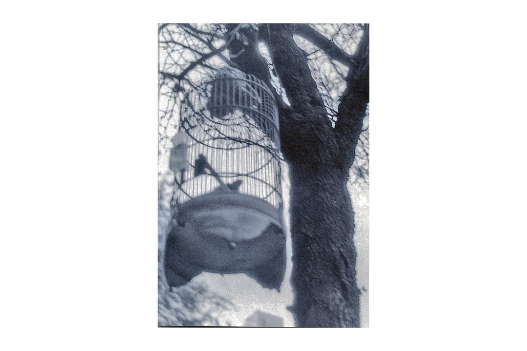 Untitled - Callum Roberts - main