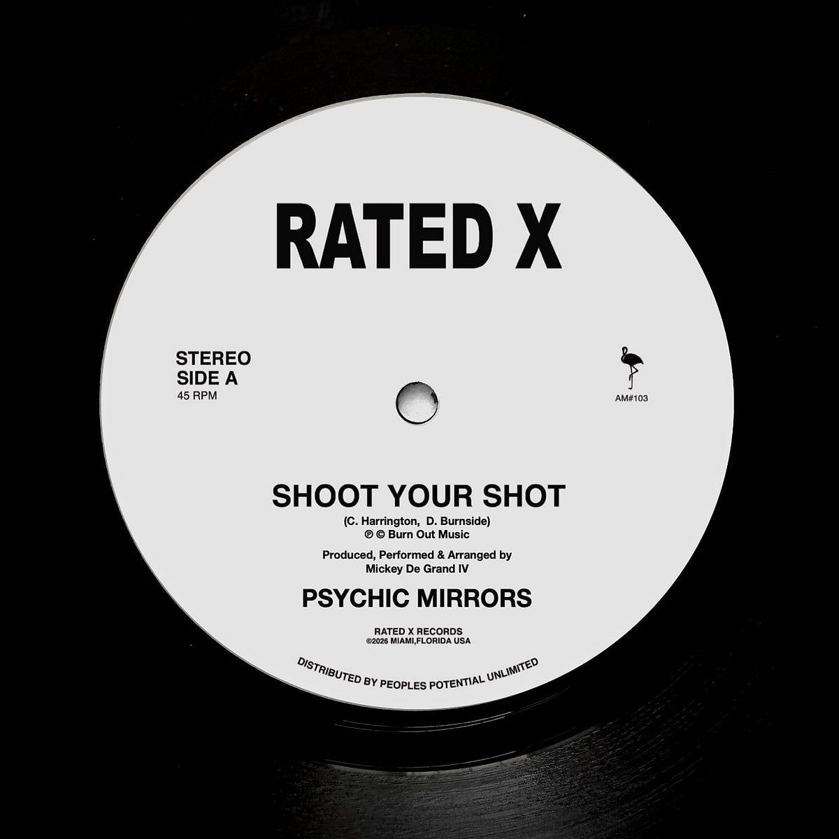 Psychic Mirrors - Shoot Your Shot | Rated X Records (AM#103)