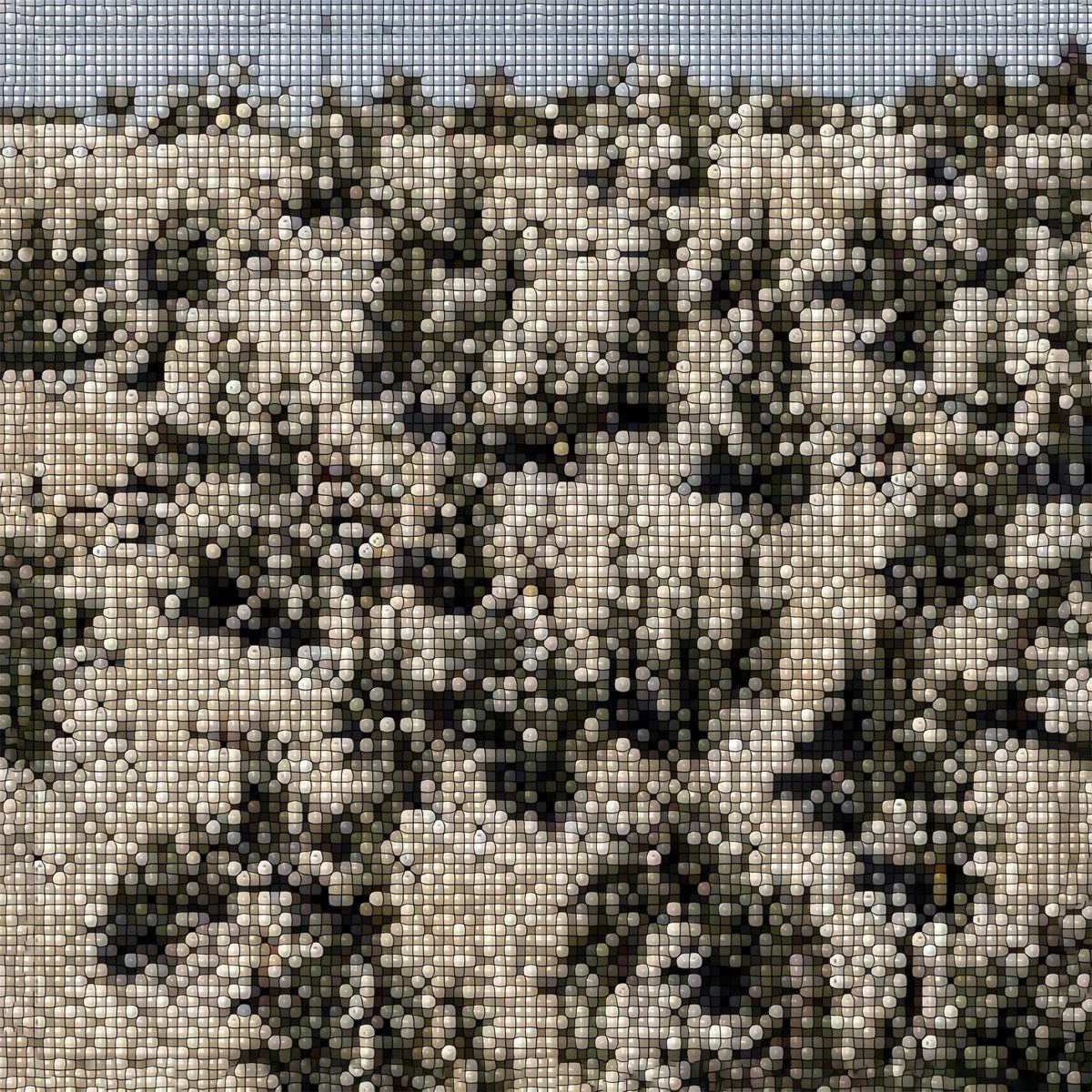 Gregory Uhlmann - Extra Stars | International Anthem Recording Company (: IARC0107LP) - main Gregory Uhlmann - Extra Stars | International Anthem Recording Company (: IARC0107LP) - main