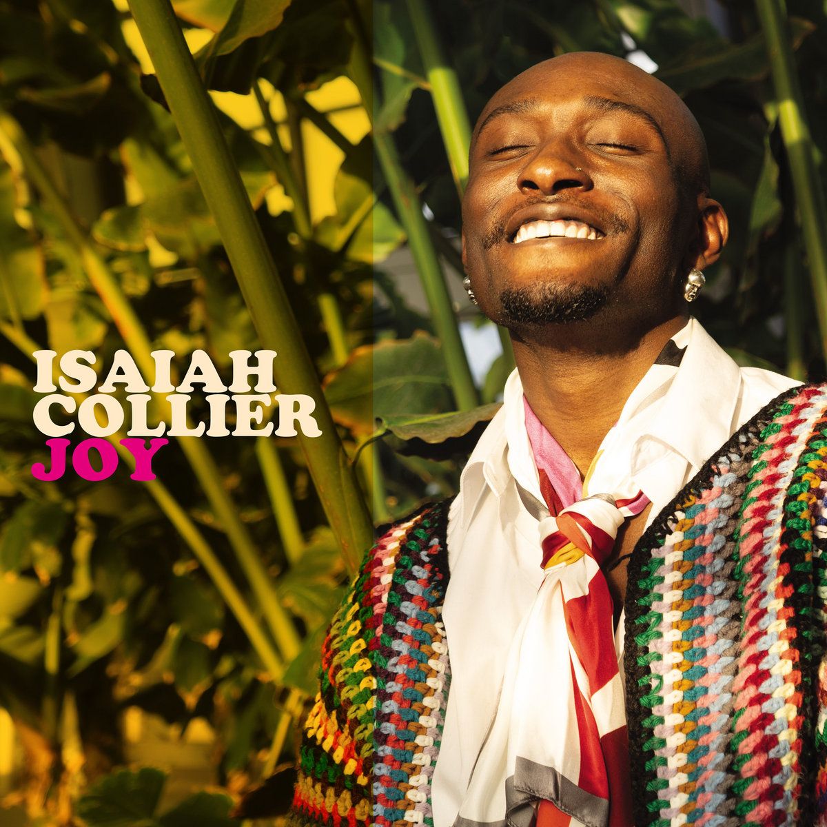 Isaiah Collier - Joy | Brownswood Recordings (BWOOD455LP)