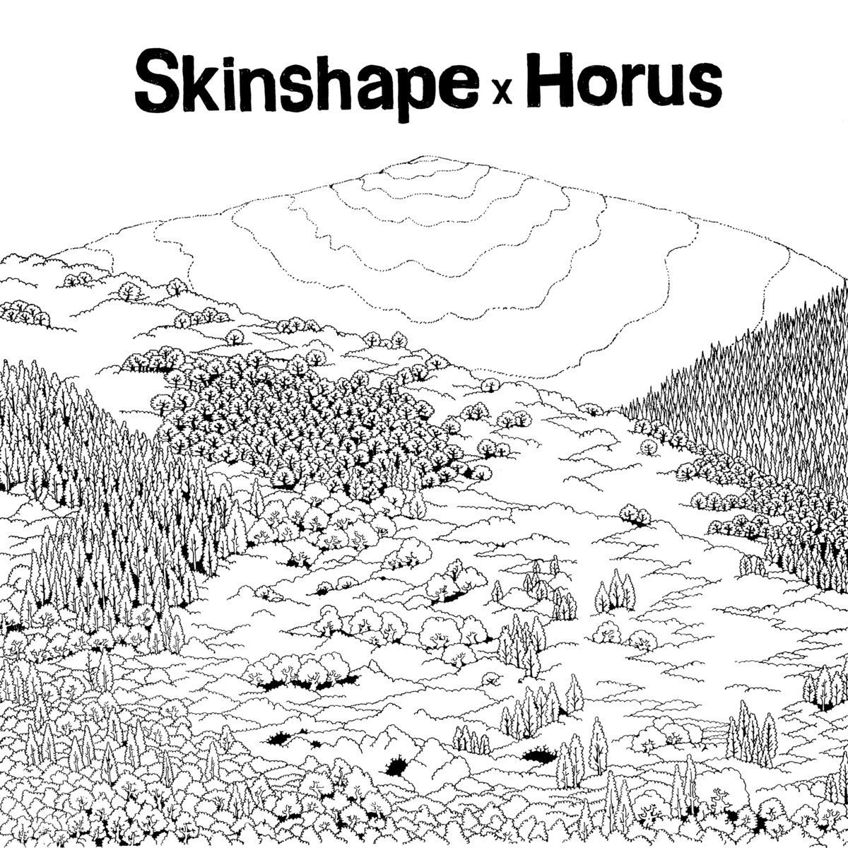 Skinshape X The Horus Allstars - Skinshape X Horus | Lewis Recordings (LEWIS1245LP)