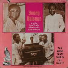 Young Balogun And The Late Tunde Nightingales - Chapter One - The Bird That Sings All Night | Take Your Choice Records (TYC) (TYC 151-L) - main