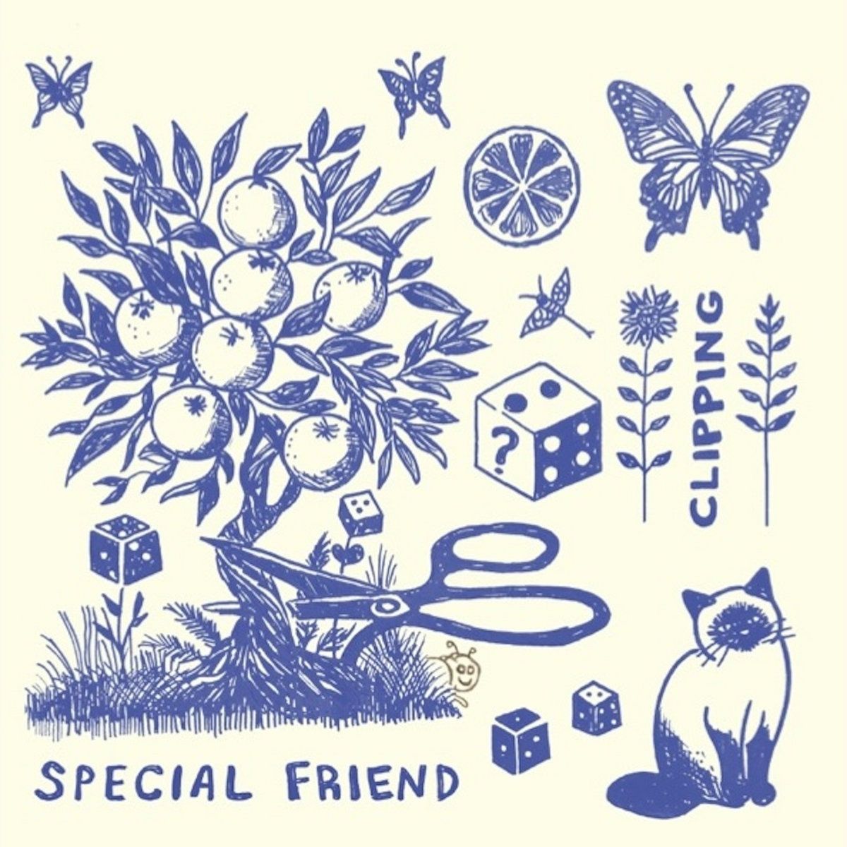 Special Friend - Clipping | Hidden Bay (HB097)