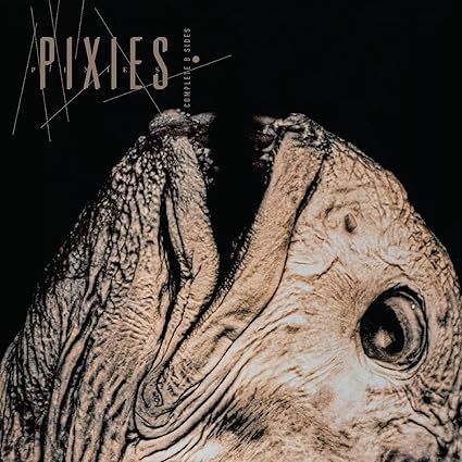 Pixies - Complete B Sides | 4AD (4AD0878LPE)