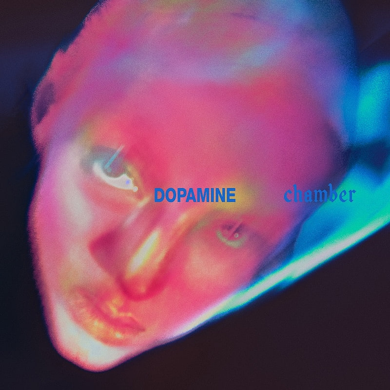 Fontaines D.C. - Dopamine Chamber | XL Recordings (XL1673LP2) - main