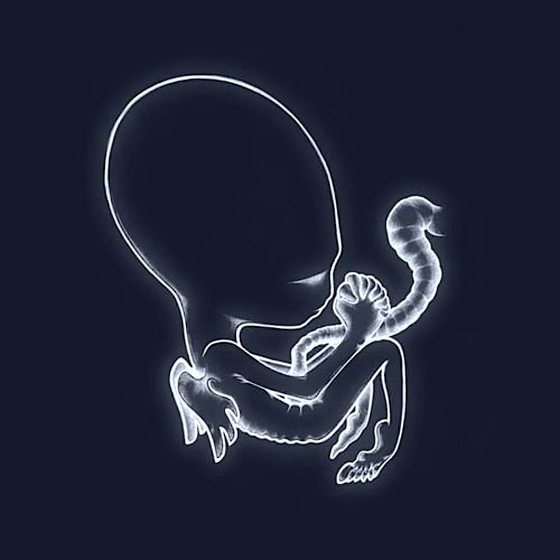 Sigur Rós - Ágætis Byrjun [CD] | Fatcat Records (7697422142)