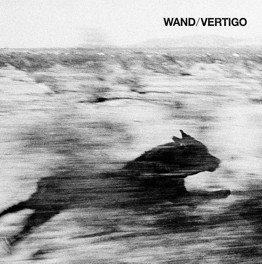 Wand - Vertigo [Vinyl] | Drag City (DC865) - main