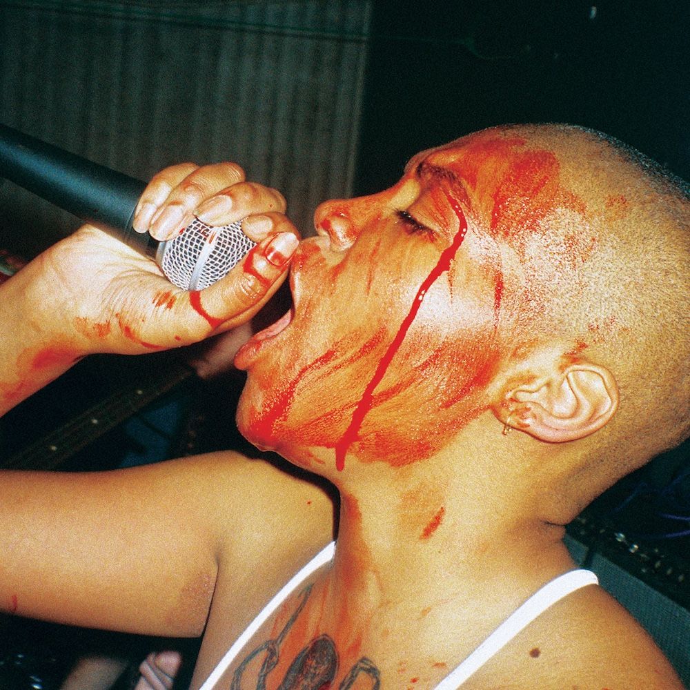 Upchuck - Sense Yourself (2024 Ty Segall Mix) [Vinyl] | Famous Class (FC059LPXM) - main