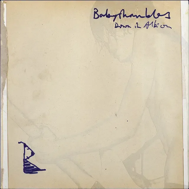 Babyshambles - Down In Albion | Rough Trade (RT0575LPX) Babyshambles - Down In Albion | Rough Trade (RT0575LPX)