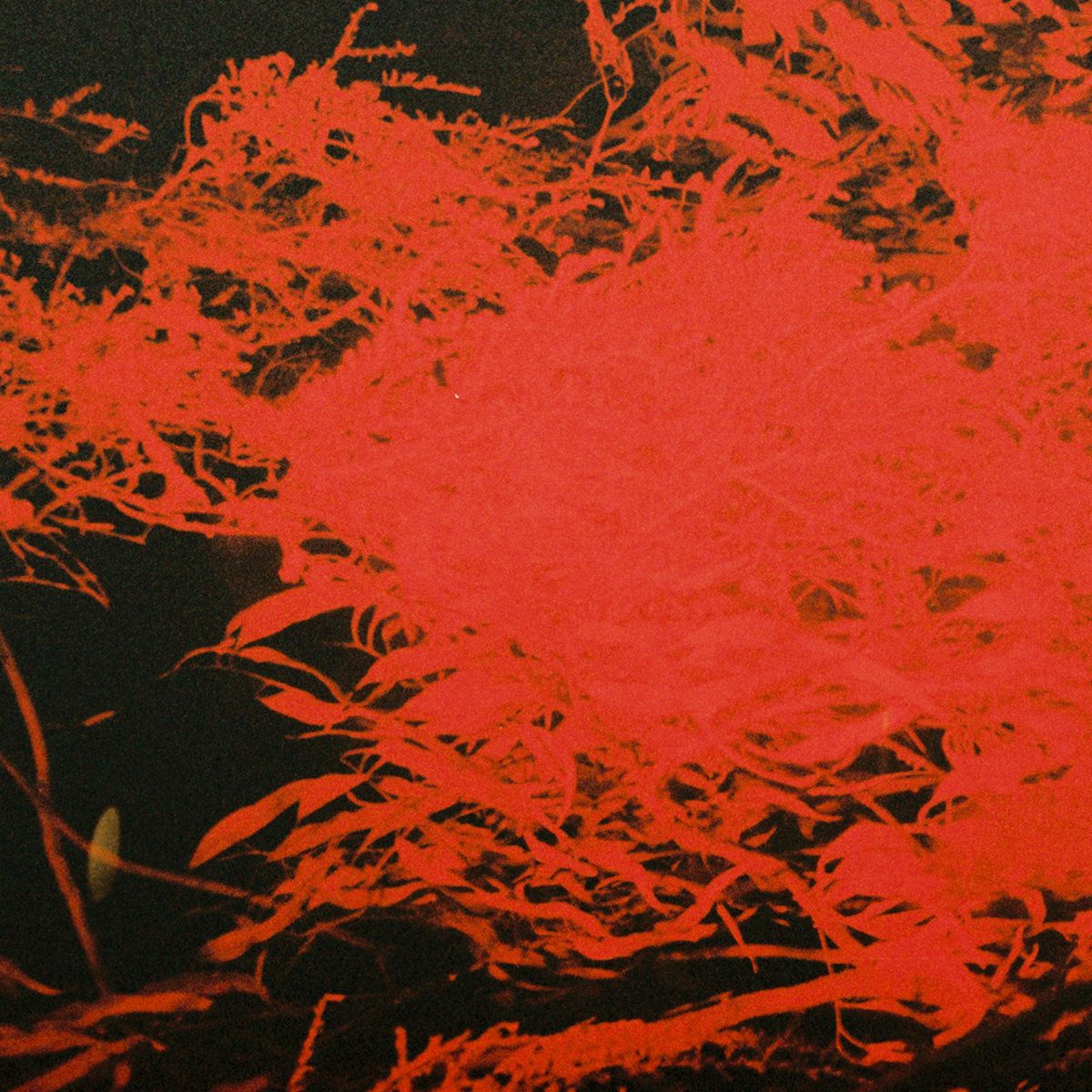 Anthony Naples - In Studio Magic | ANS (ANS8000) - main