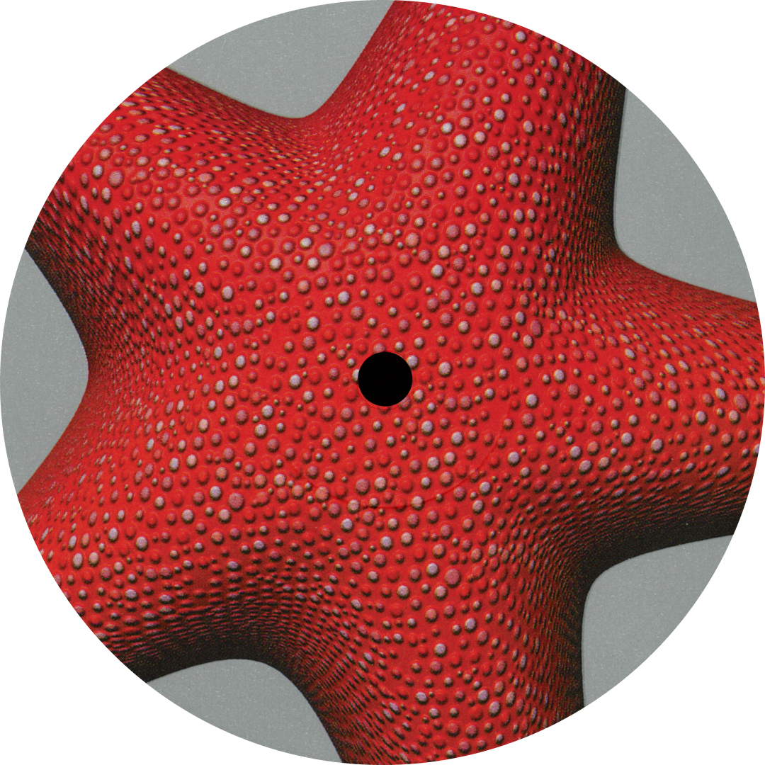 Kiva - Kiva | Gazebo (GAZ002) - 4 Kiva - Kiva | Gazebo (GAZ002) - 4