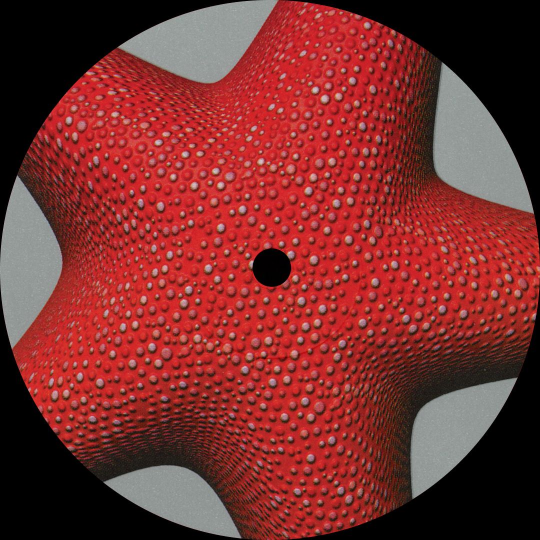 Kiva - Kiva | Gazebo (GAZ002) - 2 Kiva - Kiva | Gazebo (GAZ002) - 2