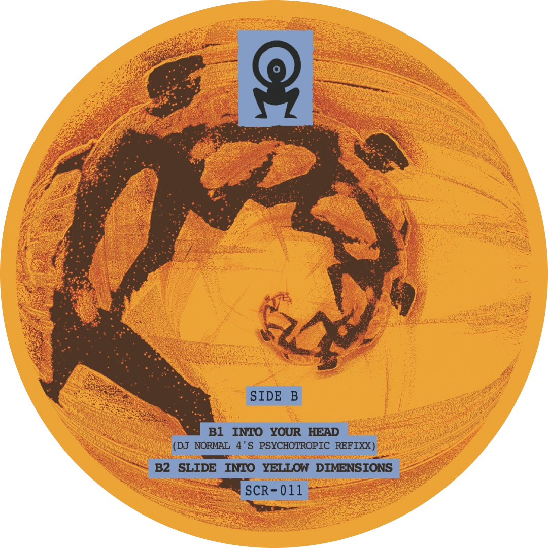 Silent Earth - Slide Into Yellow Dimensions | Sunny Crypt (SCR-011) - 3