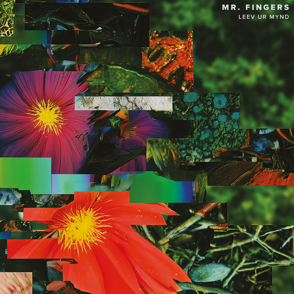 Mr. Fingers - Leev Ur Mynd | Alleviated Records (ML 9020) - main