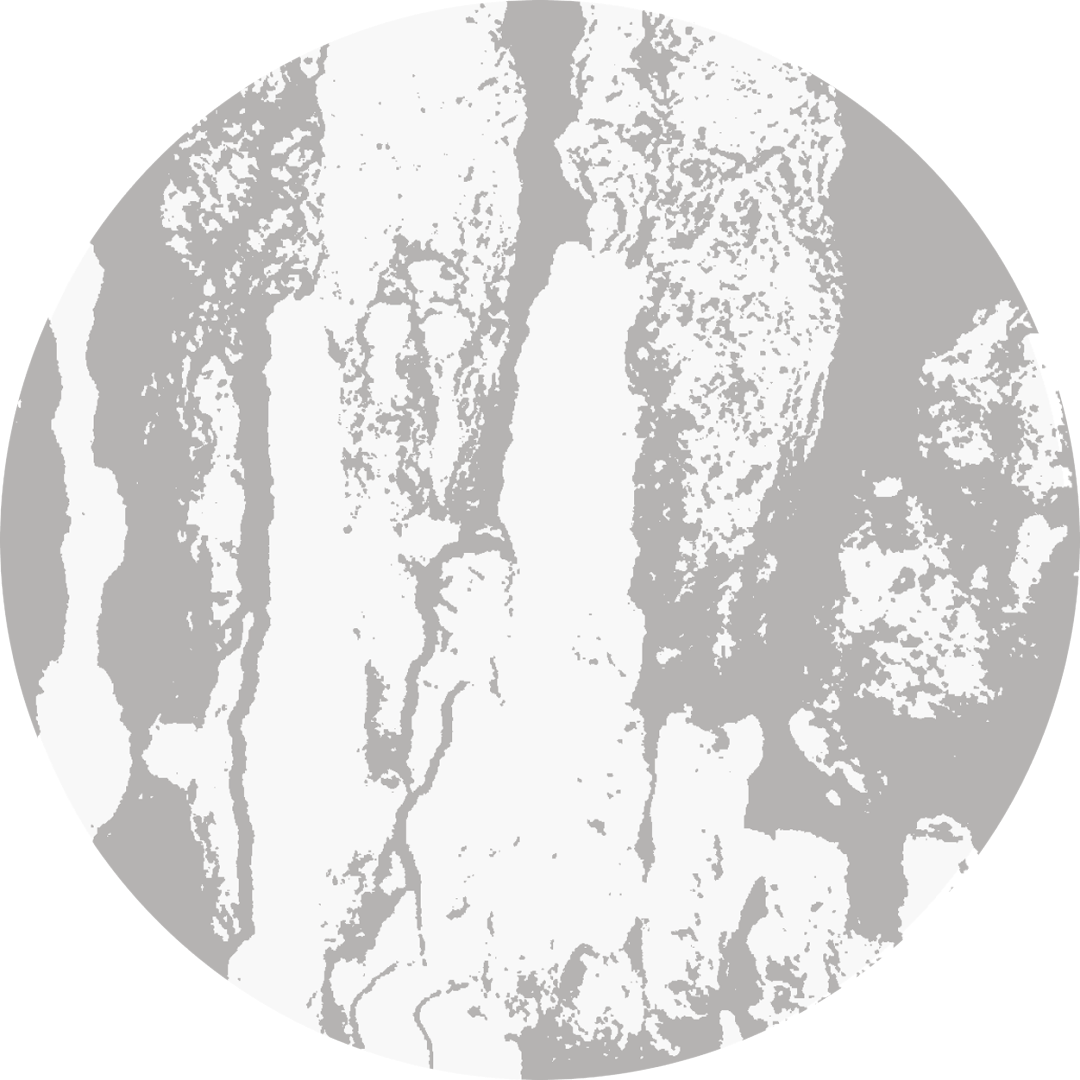 Rees - Music For Stalagmites | Magic Ritmo (MAGIC004) - 3