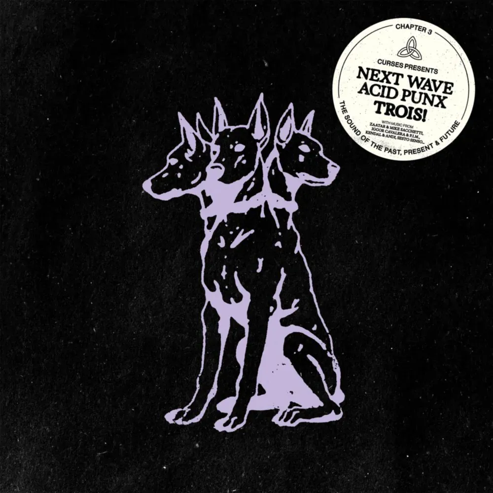 Various - Curses Presents Next Wave Acid Punx Trois! Chapter 3 | Eskimo Recordings (541416669267)