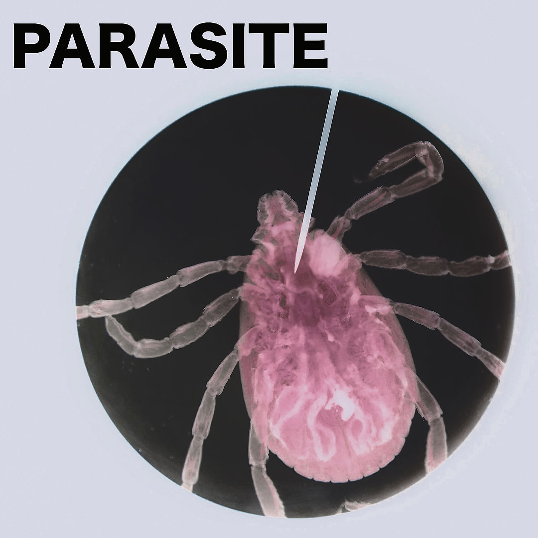 Unknown Artist - PARASITE01 | PARASITE (PARASITE01) - main