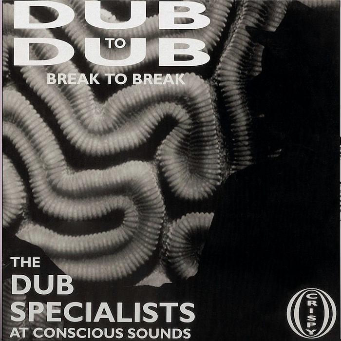 Dub Specialists - Dub To Dub Break To Break | Partial Records (PRTLLP028)