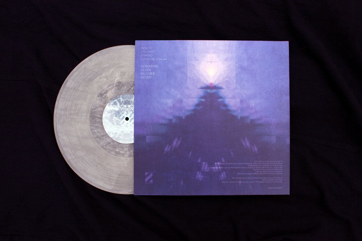 BisonBison - Hover | Zozaya Records (ZZY-007) - 2