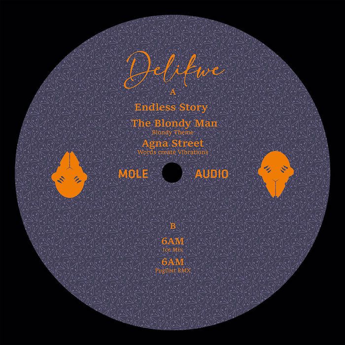 Delikwe - Agna Street (Words create vibrations) EP | Mole Audio (MA009)