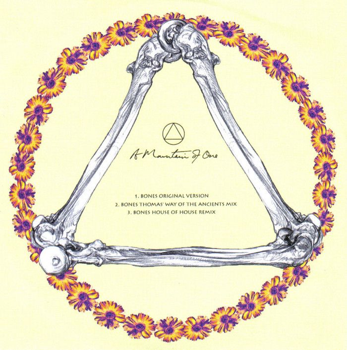 A Mountain Of One - Bones | AMO (AMR 06)