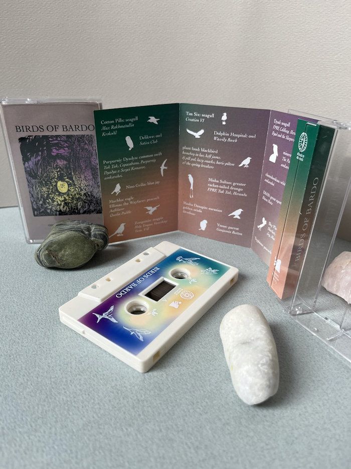 Various - Birds of Bardo | biardo records (none) - 2