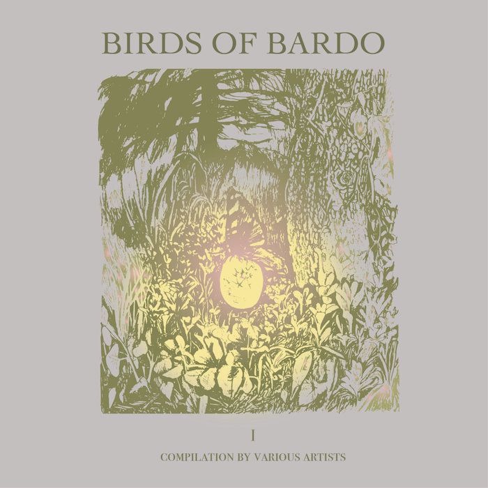 Various - Birds of Bardo | biardo records (none) - main