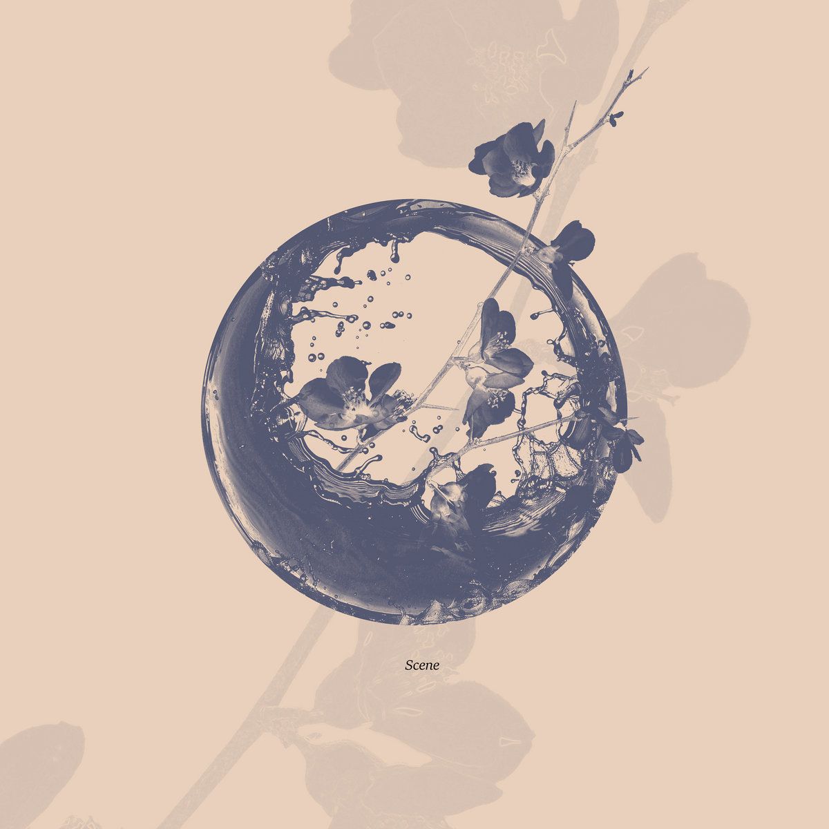 Toshiki Soejima , Nahokimama - Scene | Stereofox Records (STRFX428) - main Toshiki Soejima , Nahokimama - Scene | Stereofox Records (STRFX428) - main