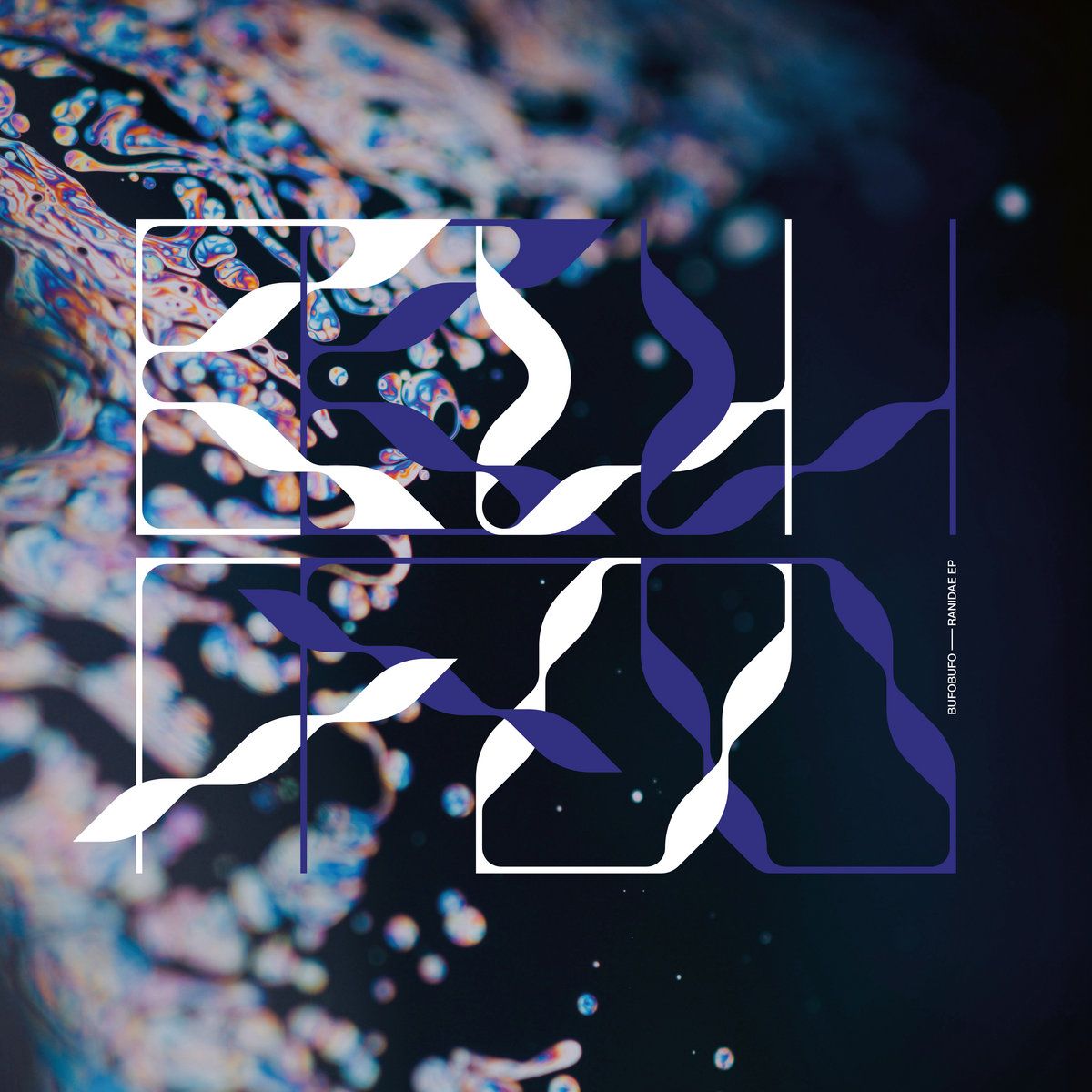 BufoBufo - Ranidae EP | Analogical Force (AF065)