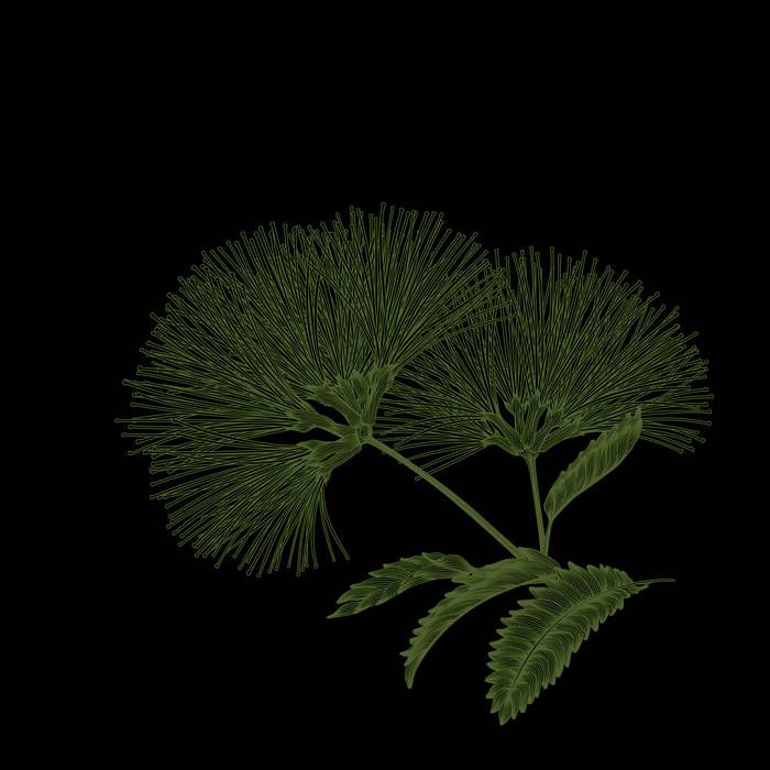 Session Restore / Bernhard Hudalla - Pathfinder EP | a.r.t.less (A.R.T.LESS 2170) - main