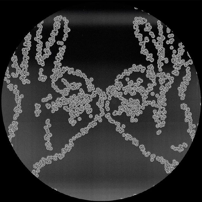 Cartulis Music 15th Anniversary Compilation EP