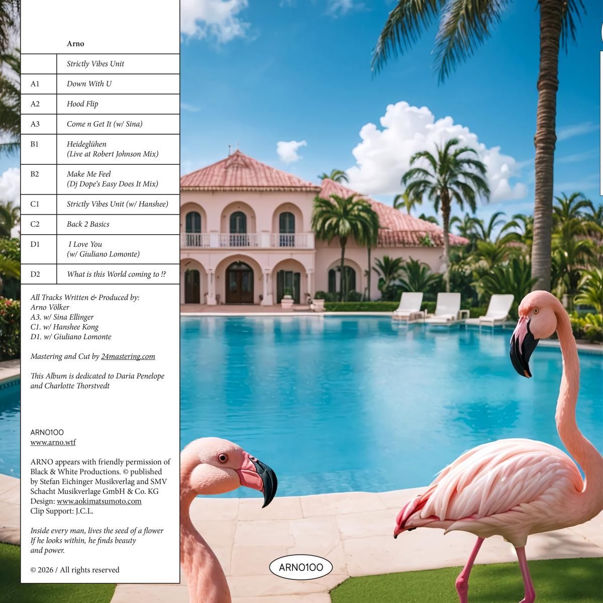 Strictly Vibes Unit LP