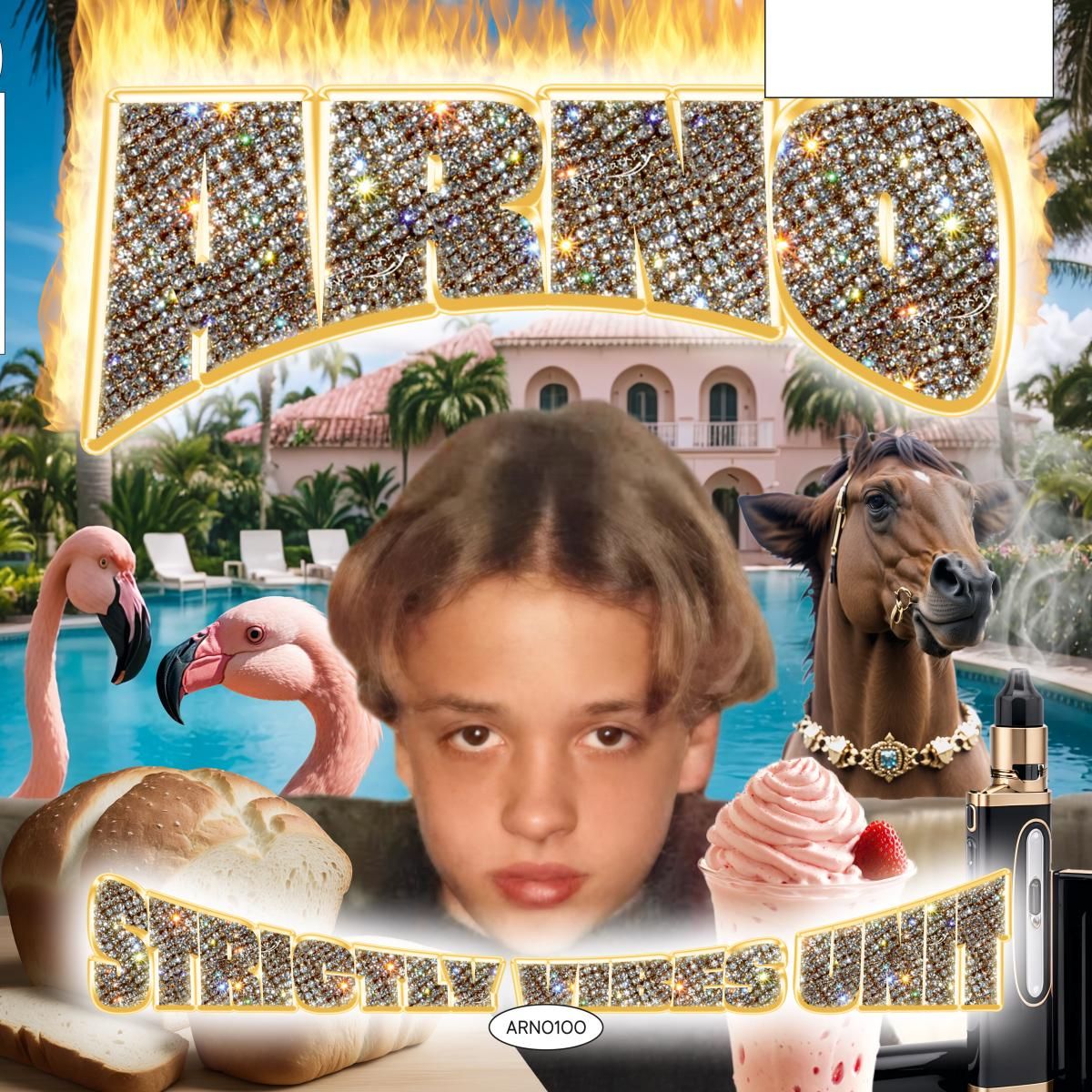 Strictly Vibes Unit LP