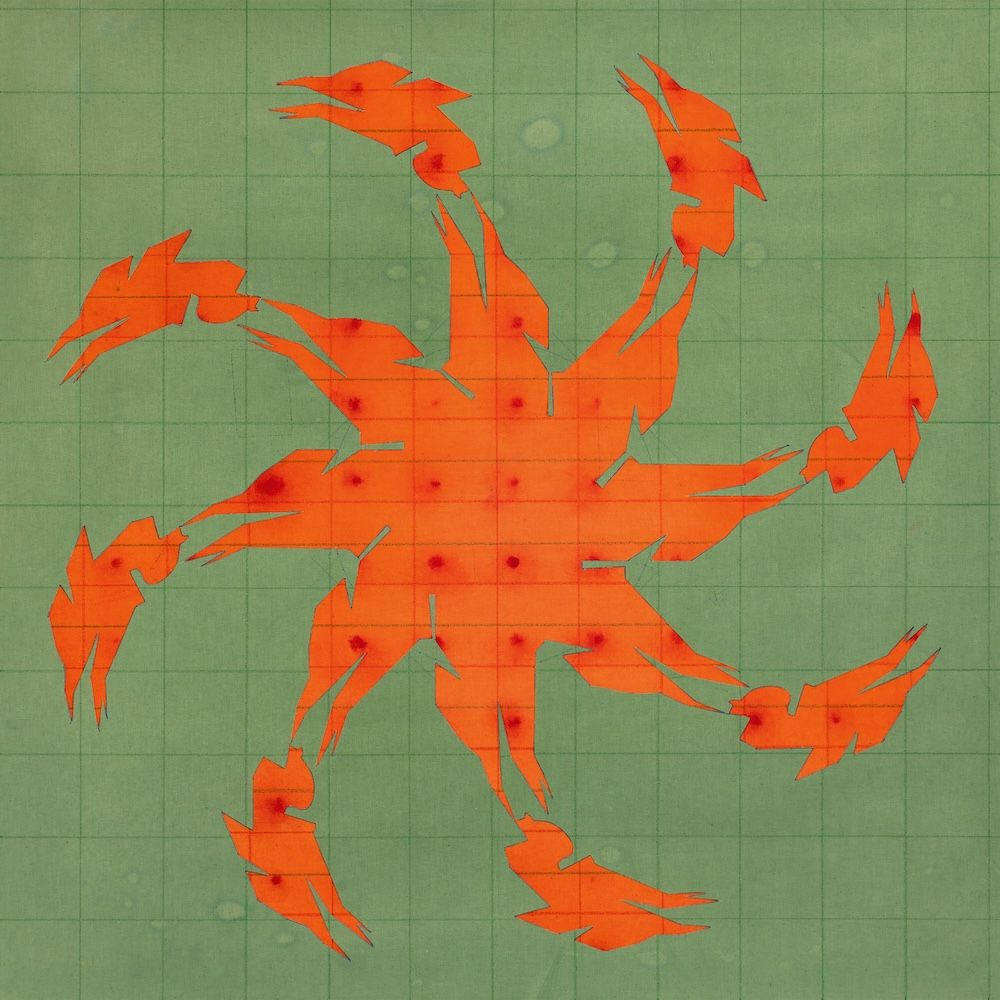 Andy Martin - Tierra de Nahuales | Animalia (ANIMA19) - main