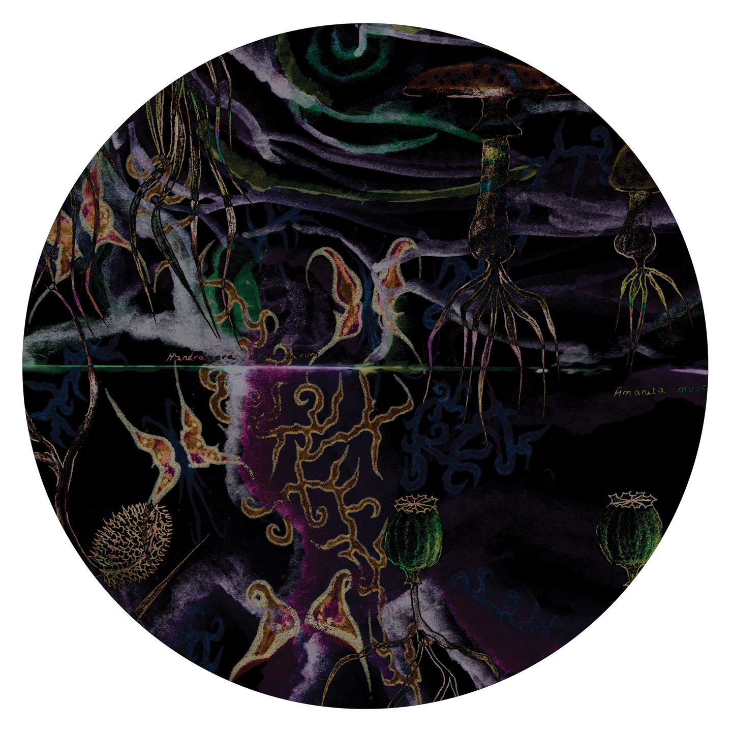 GNMR - I Love You EP | Animals On Psychedelics (AOP011) - 2 GNMR - I Love You EP | Animals On Psychedelics (AOP011) - 2